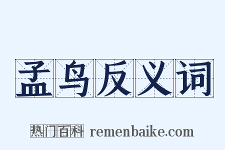孟鸟反义词是什么意思的图片